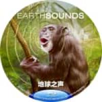 地球之声 B 2024 双碟装  介绍：2024年Apple TV首部自然纪录片，展开听觉探索，揭示星球上许多人从未经历过的一面全球之旅从澳大利亚昆士兰州茂密的雨林，到南极洲冰冷的大陆架、Nano比亚的沙丘，以及充满生机的珊瑚礁…