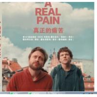 最佳男配角：真正的痛苦 A Real Pain (2024)   （豆瓣评分7.5分 从寻根之旅的幽默中了解自己，提名金球奖最佳音乐/喜剧片 为纪念逝世的奶奶，许久未见的堂兄弟大卫与班吉相约前往波兰参加导览团，也顺道探访奶奶的老家。一路上，
