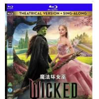最佳服装：魔法坏女巫 Wicked  (2024年美国上映歌舞奇幻片，由朱浩伟指...