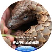 穿山甲Kulu的旅程 )(2025年英国上映评分最高的纪录片 个人与动物之间能够...