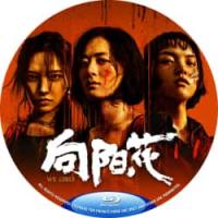 评分：7 向阳·花 又名: 出狱女子的故事 (2025)（锒铛入狱，天崩开局，刑满释放女囚如何困境求生？冯小刚2025最新犯罪剧情力作，赵丽颖 领衔主演 她们虽然性格不同，但却都有“和生活硬碰硬”的态度，不服输、不认命的她们，面对命运挑战一