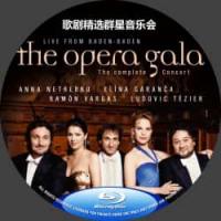 歌剧精选群星音乐会 (女高音涅翠柯，次女高音嘉兰莎，男高音瓦尔加斯与男中音泰齐耶...