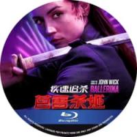评分：7.5 （50G）疾速追杀：芭蕾杀姬 （2025年美国最新期待动作大片重磅来袭！，该片该片时间线设定在《疾速追杀3》和《疾速追杀4》之间，讲述了一个年轻女刺客在家人被杀后寻求复仇的故事。） 