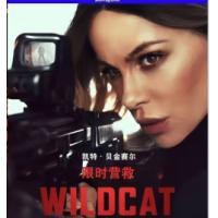 限时营救 (<黑夜传说>凯特·贝金赛尔 领衔主演2025最新惊悚动作片 追踪一支...